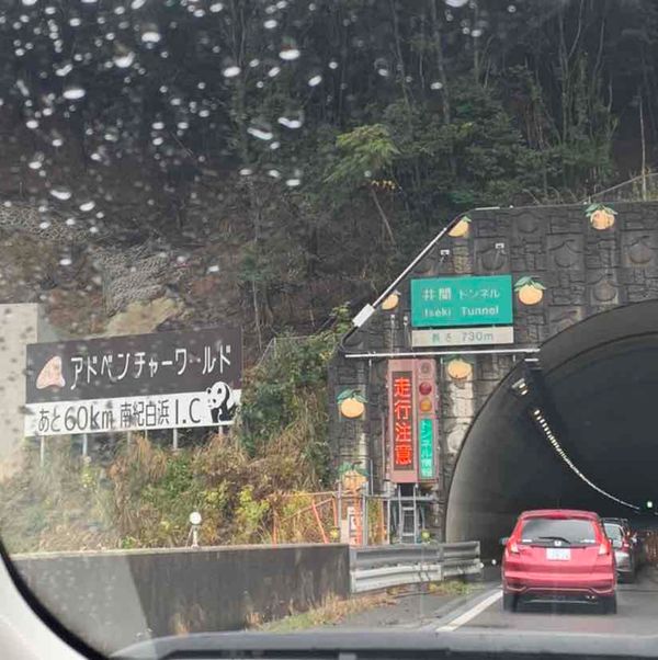 日本・和歌山県「アドベンチャーワールド🐼🐧」の写真：大阪市内から車で約3時間
和歌山はアド...