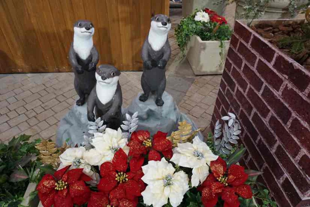 大阪市内から車で約3時間
和歌山はアドベンチャーワールドに参りました
...