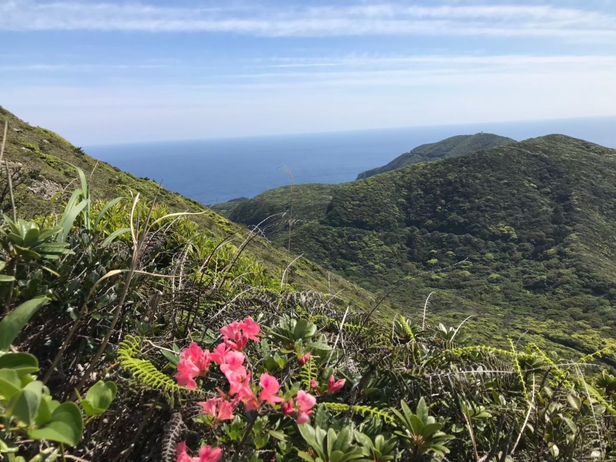 海🏖山⛰最高でした。