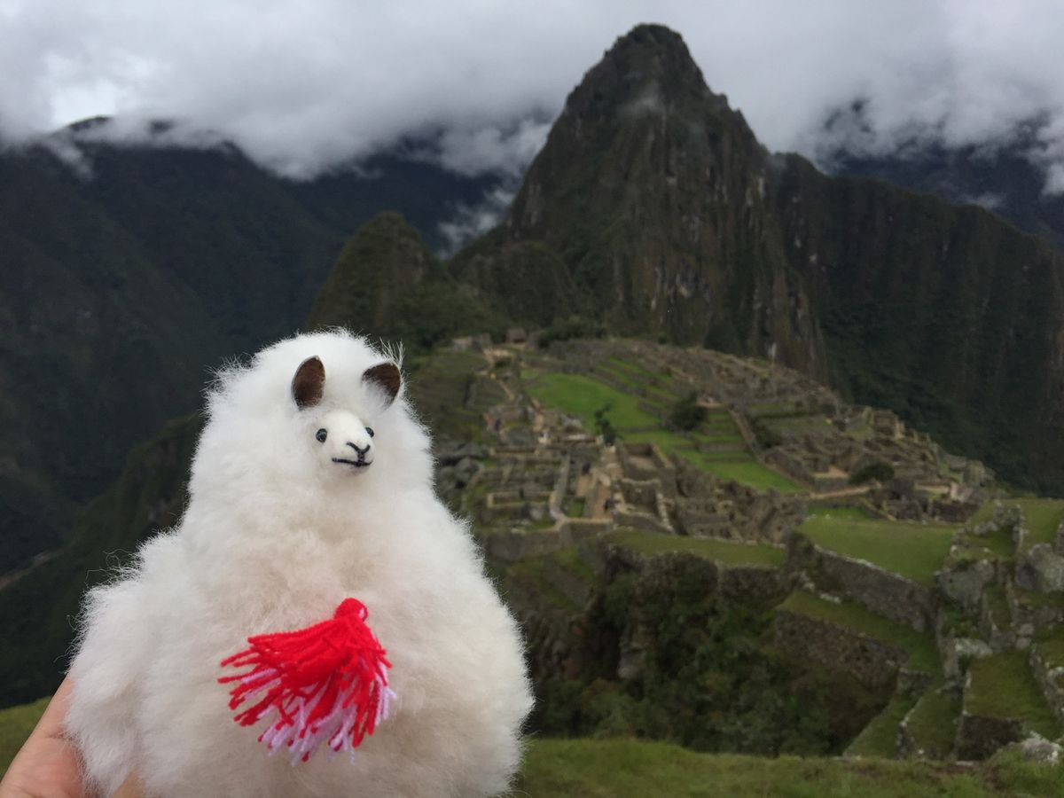 世界遺産好きとしては絶対に行きたかったマチュピチュ。

ワイナピチュにもヘ...
