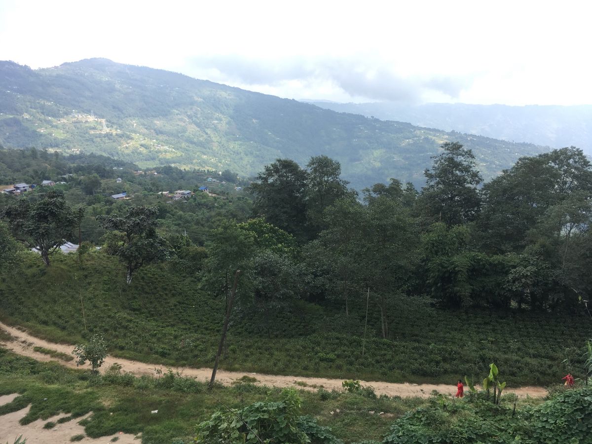 ヒレ、町のモニュメントは大きなトゥンバ、そして実際の木製のトゥンバ。細長く...