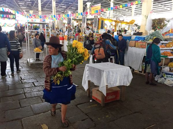 ペルー・リマ　クスコ「ペルー　マチュピチュ」の写真：クスコの街