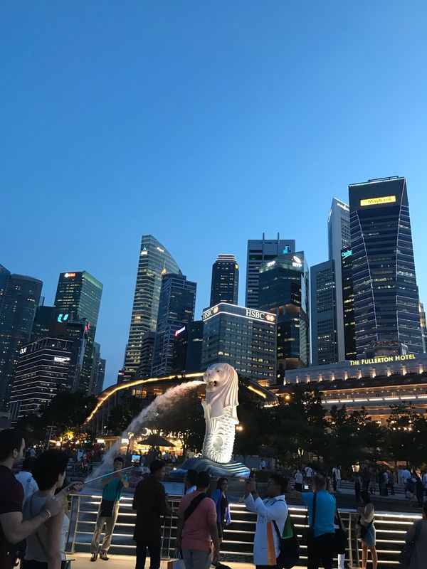 シンガポール・シンガポール「シンガポール的観光」の写真
