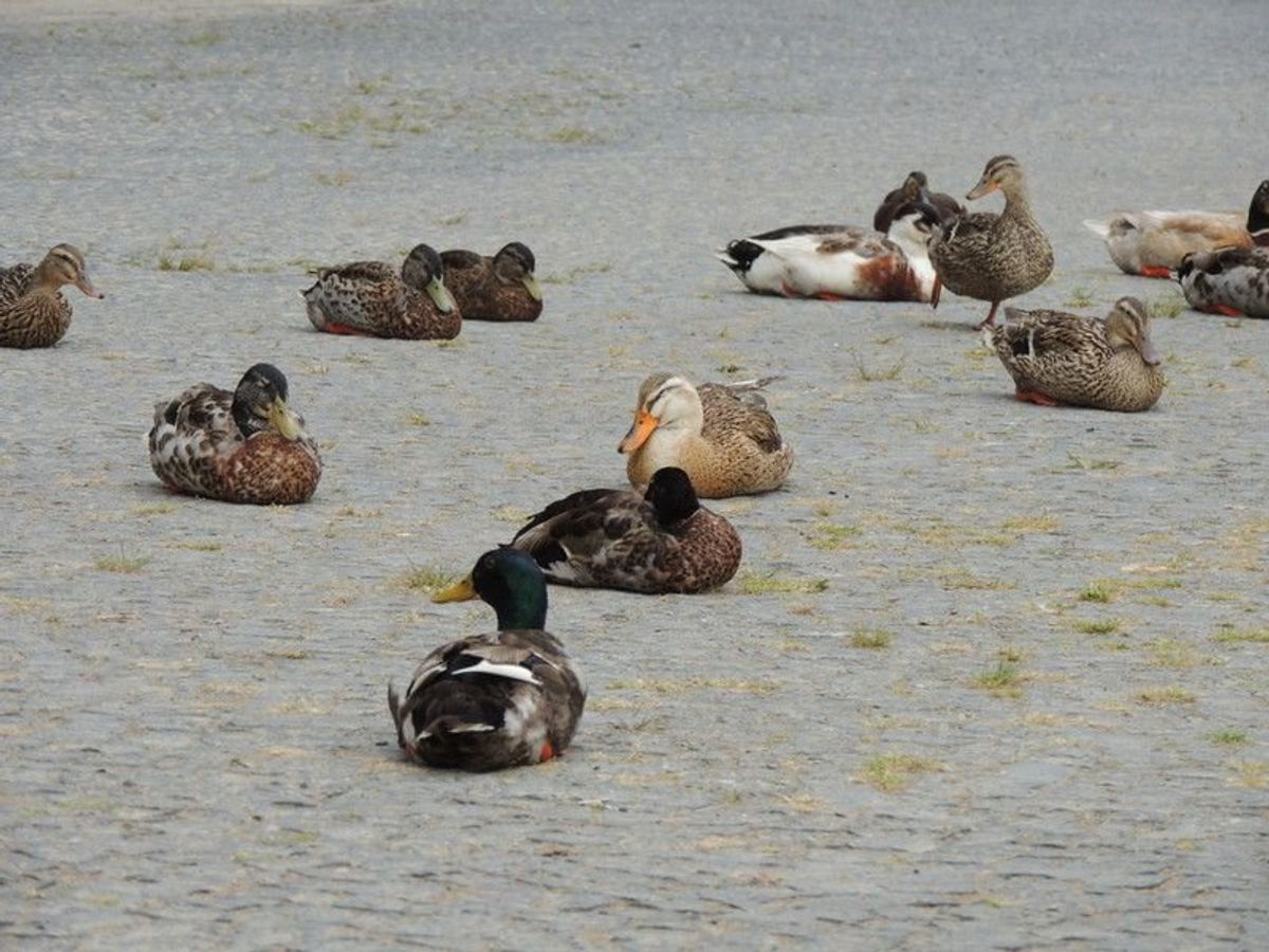 知人の中国人に車で案内してもらう一日。

