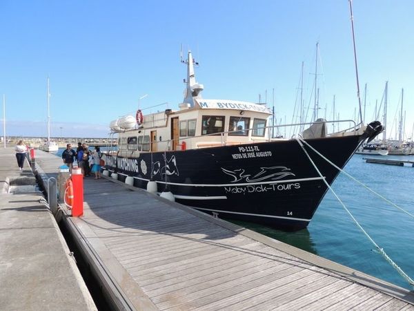 ポルトガル・アゾレス諸島「2017年 ポンタデルガダ　大西洋の島」の写真：ホエールウォッチングは満員でキャンセル待...