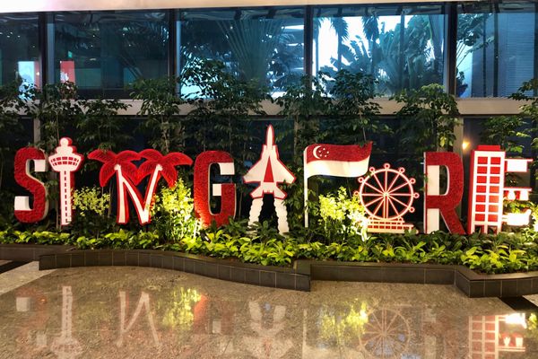 シンガポール・リトルインディア、チャイナタウン、アラブストリート、マリーナエリア等「シンガポール🇸🇬」の写真：チャンギ空港がオアシスのようで素敵。帰り...