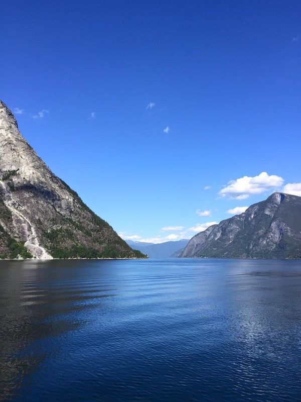 エストニア「ヘルシンキ✈︎ノルウェーでフィヨルド⛴同期旅」の写真：ベルゲンからフィヨルドクルーズ