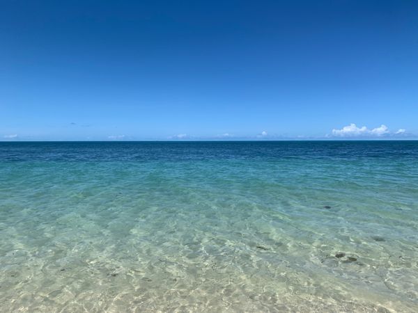 オーストラリア連邦・ケアンズ「年末年始ケアンズ」の写真：グリーン島のビーチ🏖