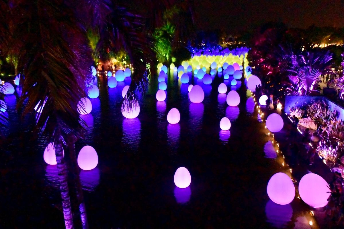 ガーデンズ・バイ・ザ・ベイでライトアップ
