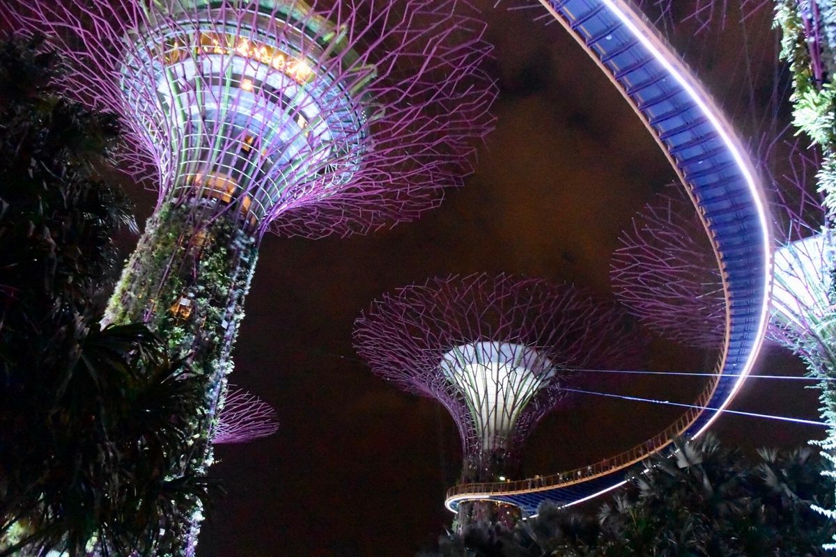 ガーデンズ・バイ・ザ・ベイでライトアップ