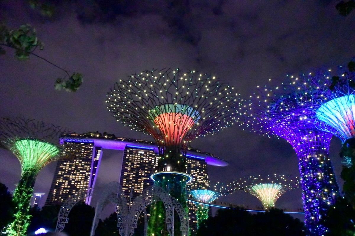 ガーデンズ・バイ・ザ・ベイでライトアップ