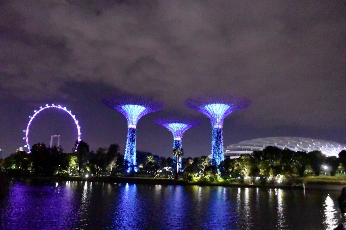 ガーデンズ・バイ・ザ・ベイでライトアップ