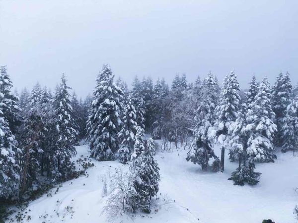 日本・岐阜県「2019.1.30-2020.1.1 岐阜県」の写真