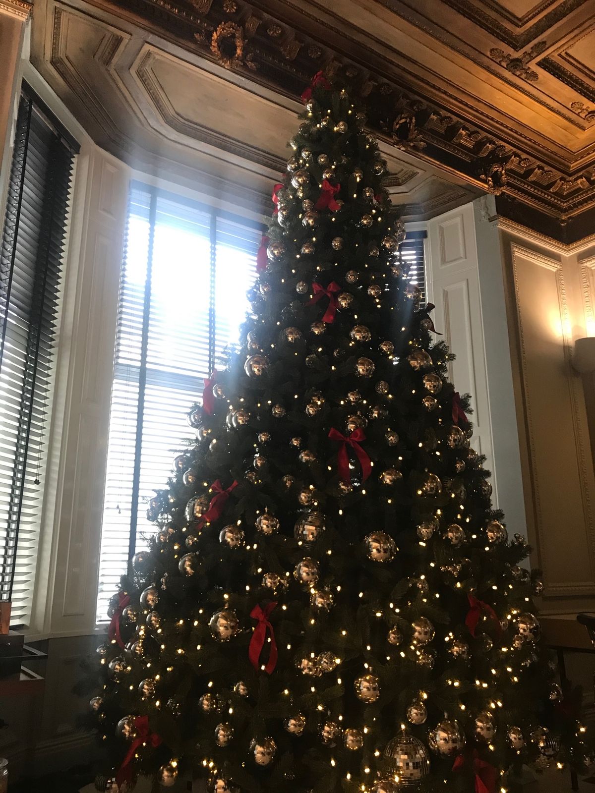 ホテルはラディソンブルーエドワーディアンバンダービルト。ツリーが綺麗でした。