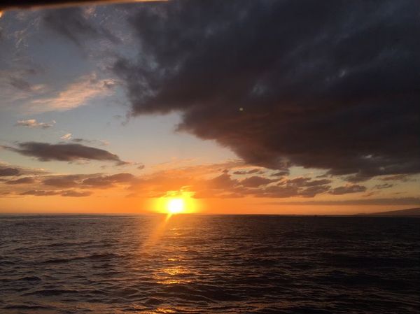 アメリカ(米国)・ワイキキ「ハワイ旅行😎🌴🌺」の写真