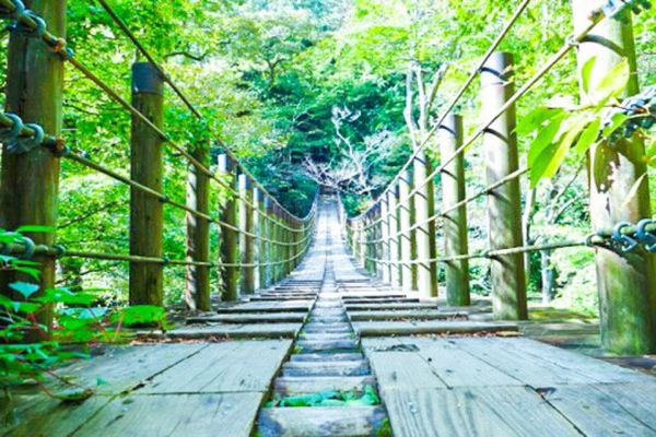 日本・茨城県「2019.10.16-10.17 茨城県」の写真