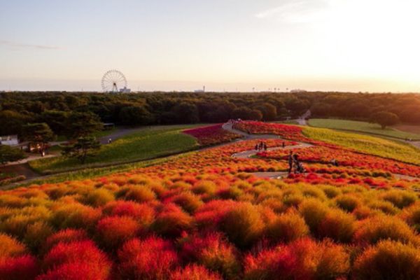 日本・茨城県「2019.10.16-10.17 茨城県」の写真