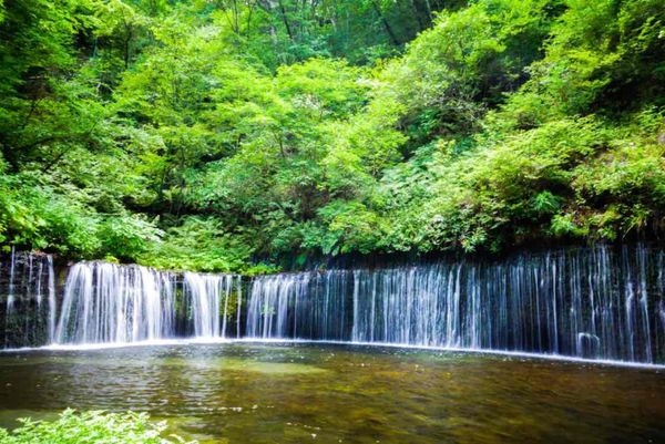 日本・長野県「2019.8.6-8.7 長野県」の写真