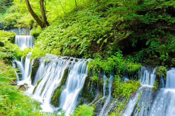 日本・長野県「2019.8.6-8.7 長野県」の写真