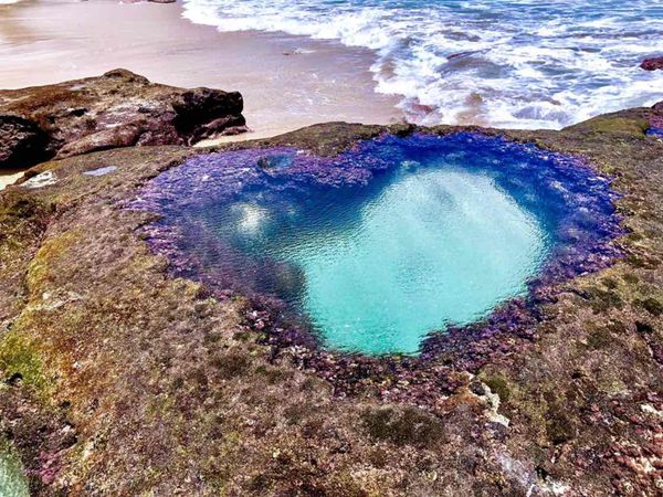 日本・鹿児島県「2019.7.16-7.18 奄美大島」の写真