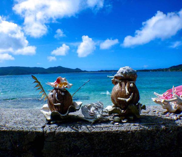 日本・鹿児島県「2019.7.16-7.18 奄美大島」の写真