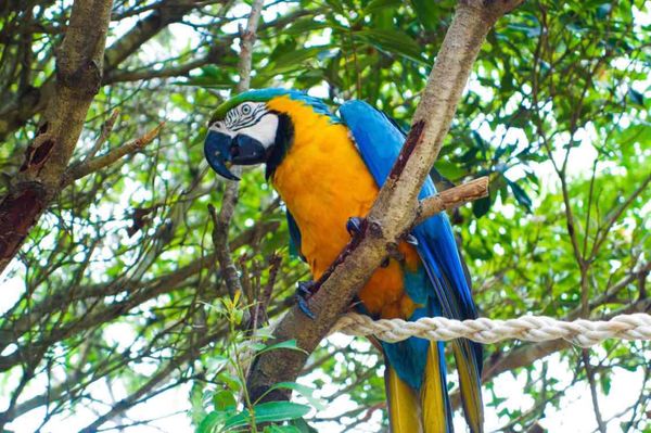日本・静岡県「2019.6.27-6.28 静岡県」の写真