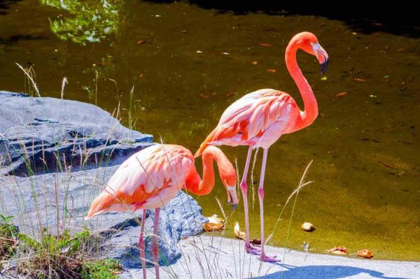 日本・静岡県「2019.6.27-6.28 静岡県」の写真