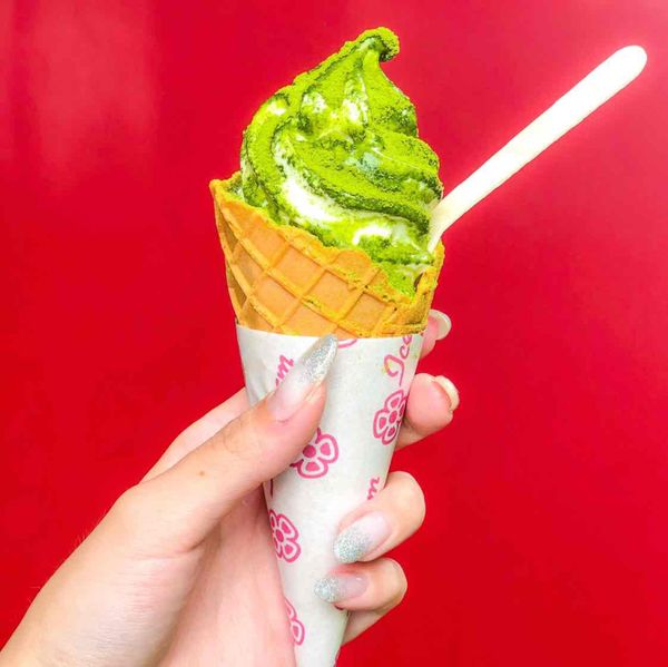 日本・静岡県「2019.6.27-6.28 静岡県」の写真