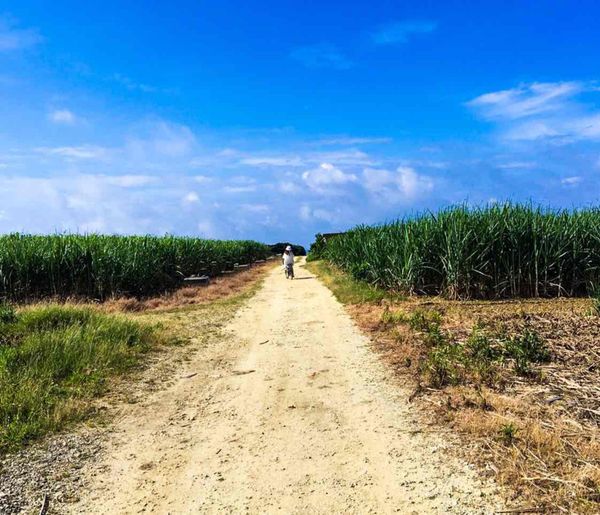 日本・沖縄県「2019.5.14-5.16 波照間島」の写真
