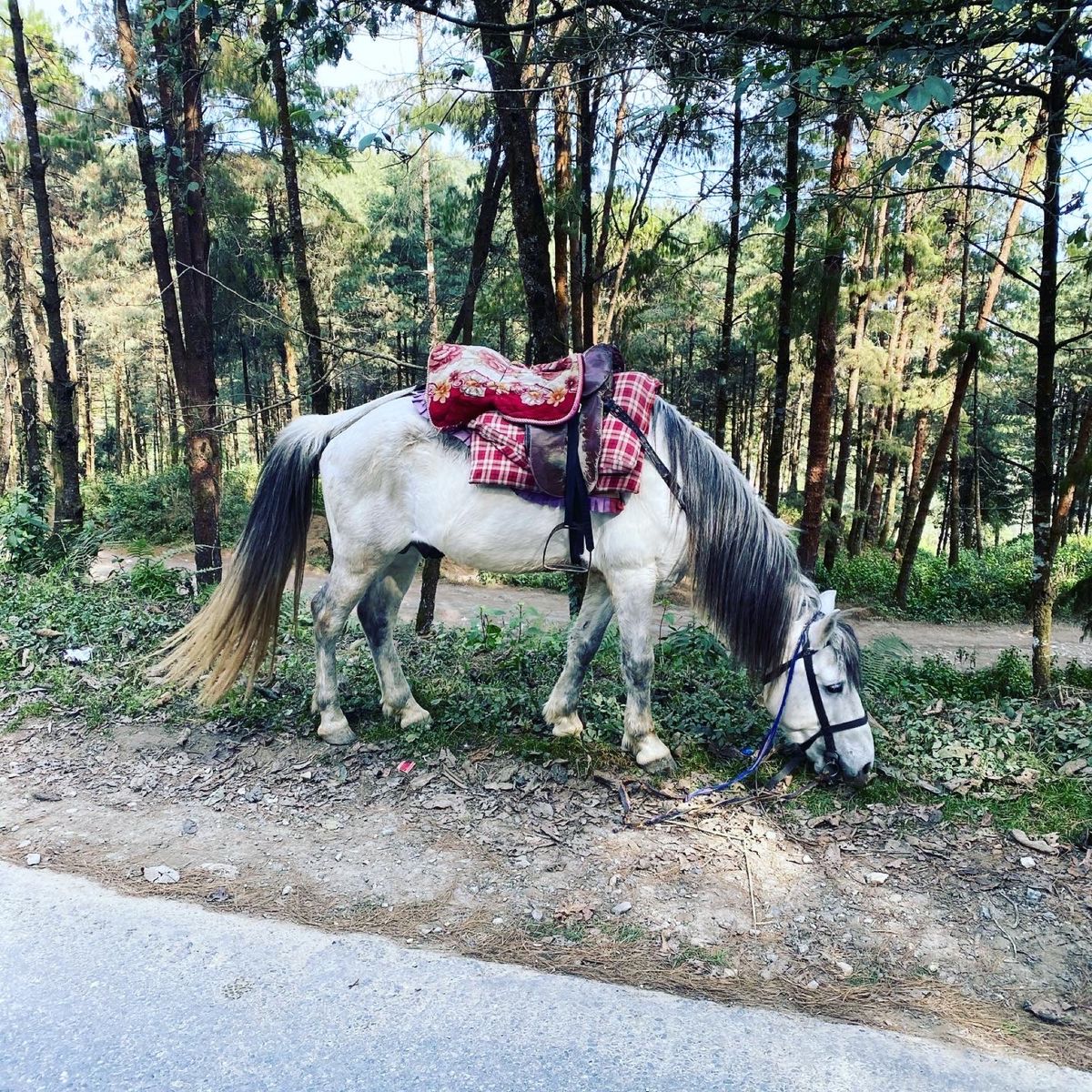 こういう景色の中で暮らしてみたい