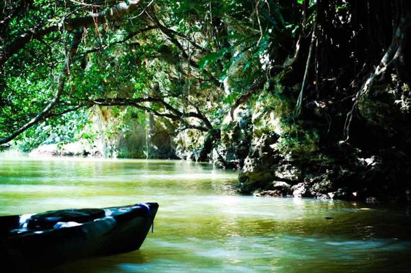 日本・沖縄県「2019.4.16-4.18 石垣島」の写真