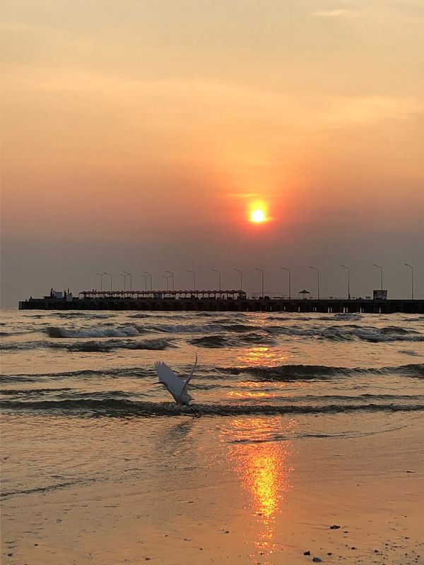 タイ「ホアヒン」の写真：日の出