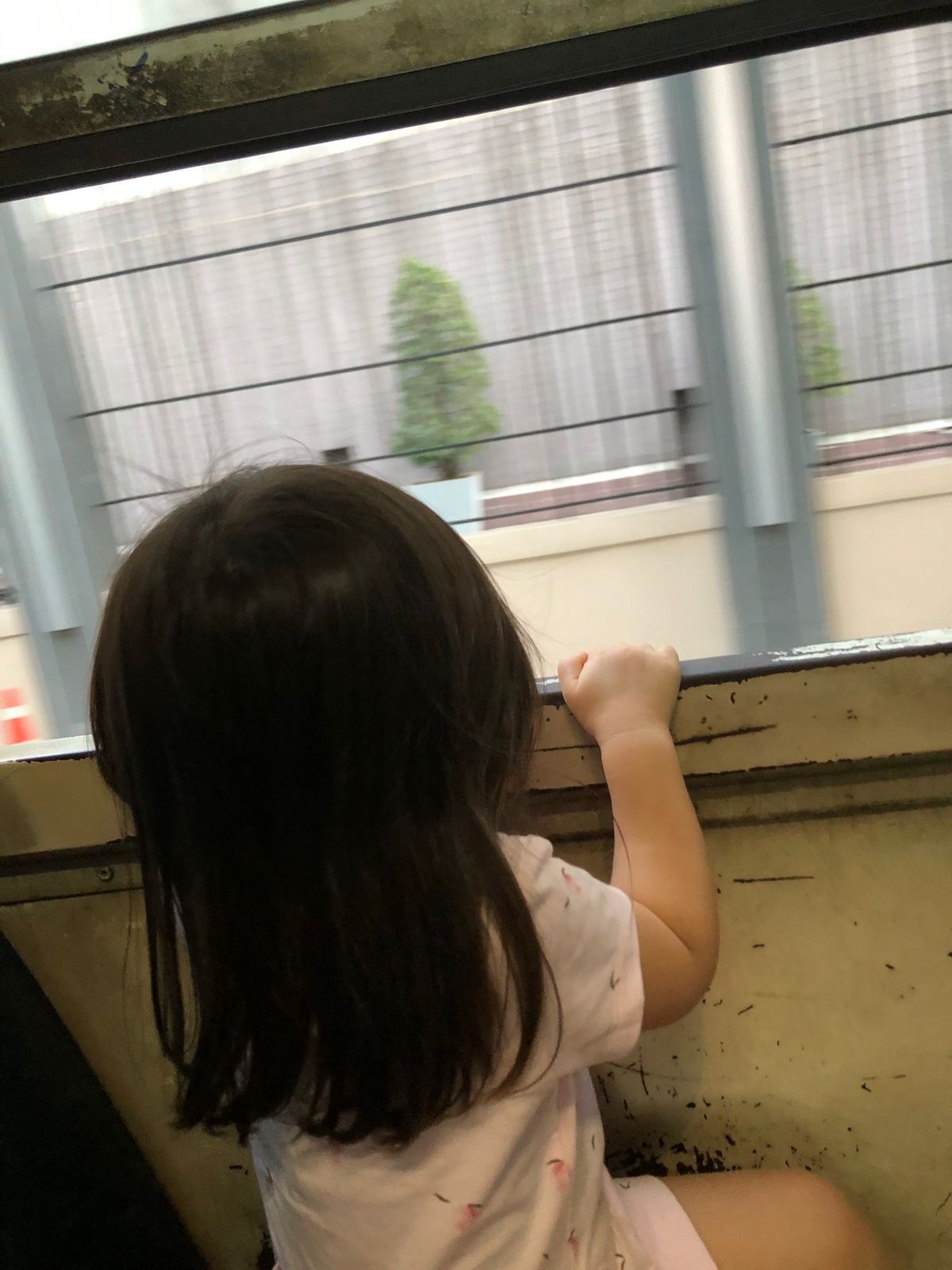 市内移動は、ほぼ市バス。今は、VIA BUSっていうアプリがめちゃくちゃ便...