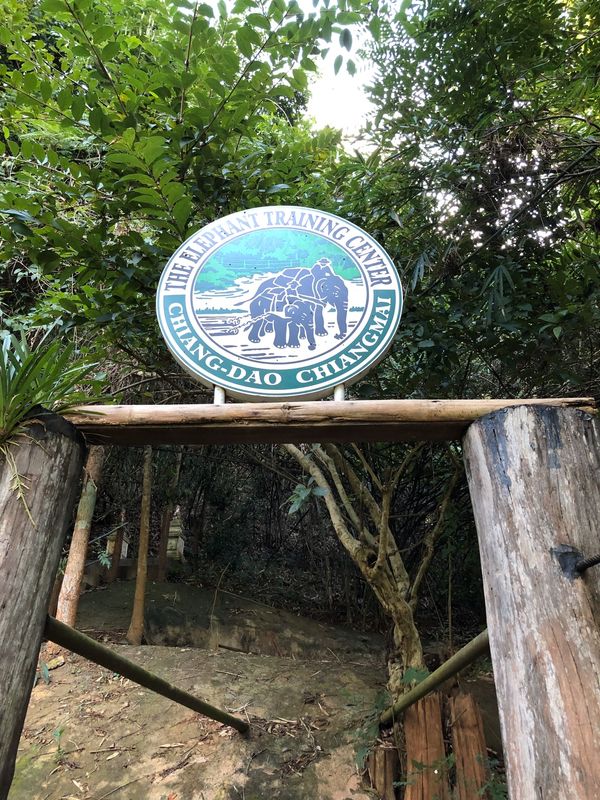 タイ・バンコク、チェンマイ「2018〜2019 バンコク、チェンマイ」の写真：チェンマイから1時間半ぐらいの所にあるエ...