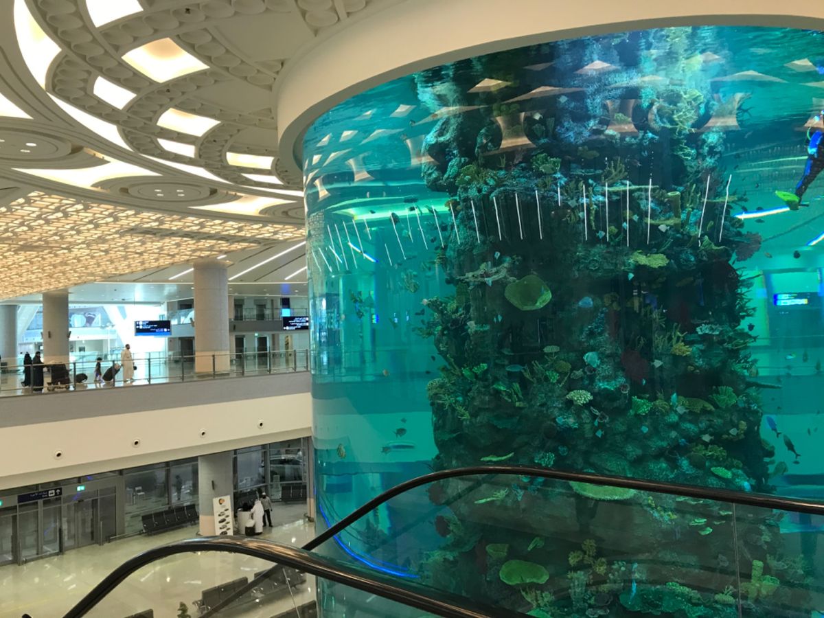 ジェッダ空港。
巨大な水槽がお出迎え🐟
ちょうど水槽のお掃除中でした。