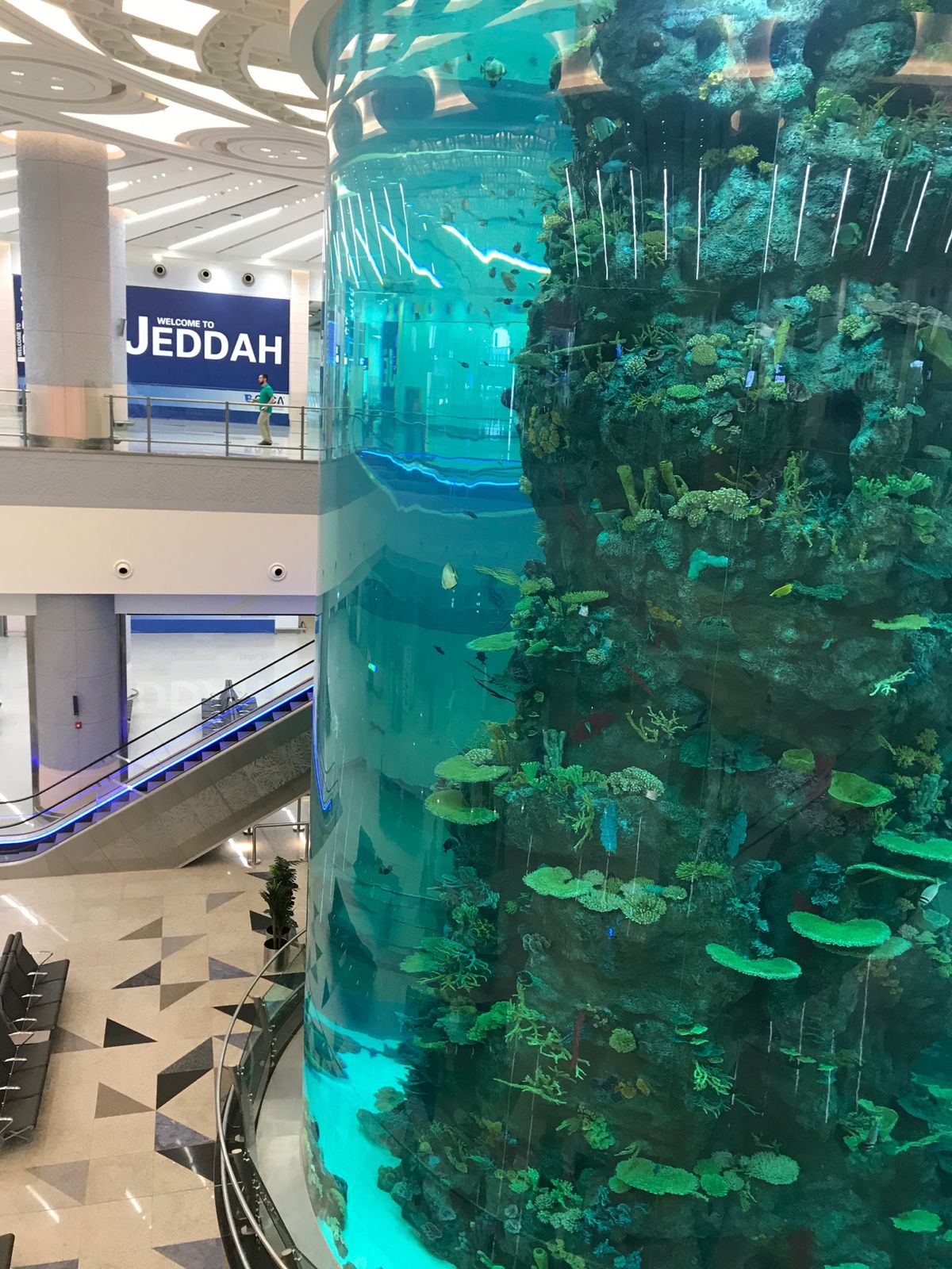 ジェッダ空港。
巨大な水槽がお出迎え🐟
ちょうど水槽のお掃除中でした。