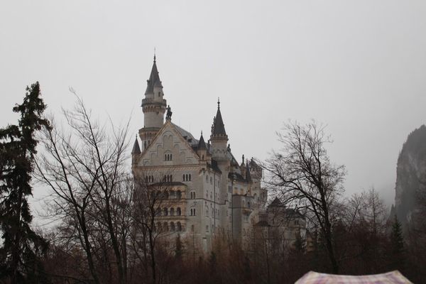 ドイツ・フランクフルト、ローテンブルク、ハイデルベルク、レーゲンスブルク、ミュンヘン「ドイツ🇩🇪Xmas market🎄」の写真：ノイシュバンシュタイン城と入場できなかっ...