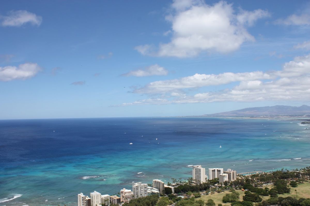 ベタな景色。しかし、最高の南国！