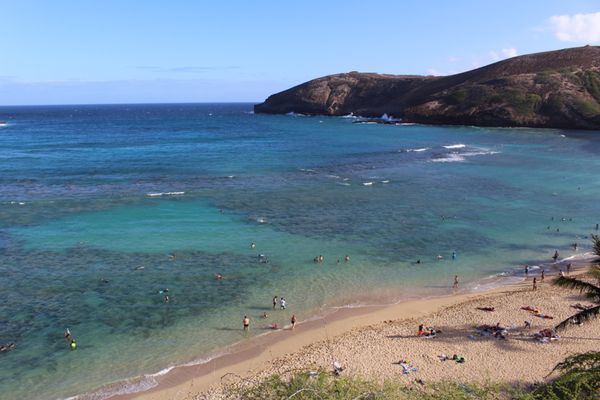 アメリカ(米国)・ハワイ「ハワイ4」の写真：TheBusでちょっと遠出。