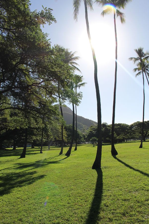 アメリカ(米国)・ハワイ「ハワイ3」の写真