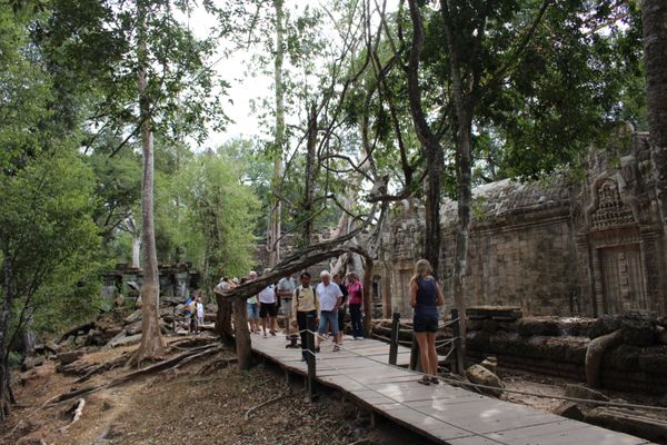 カンボジア・アンコールワット、アンコールトム、「カンボジア🇰🇭」の写真：タプローム
トゥームレイダーにも出てきた所。