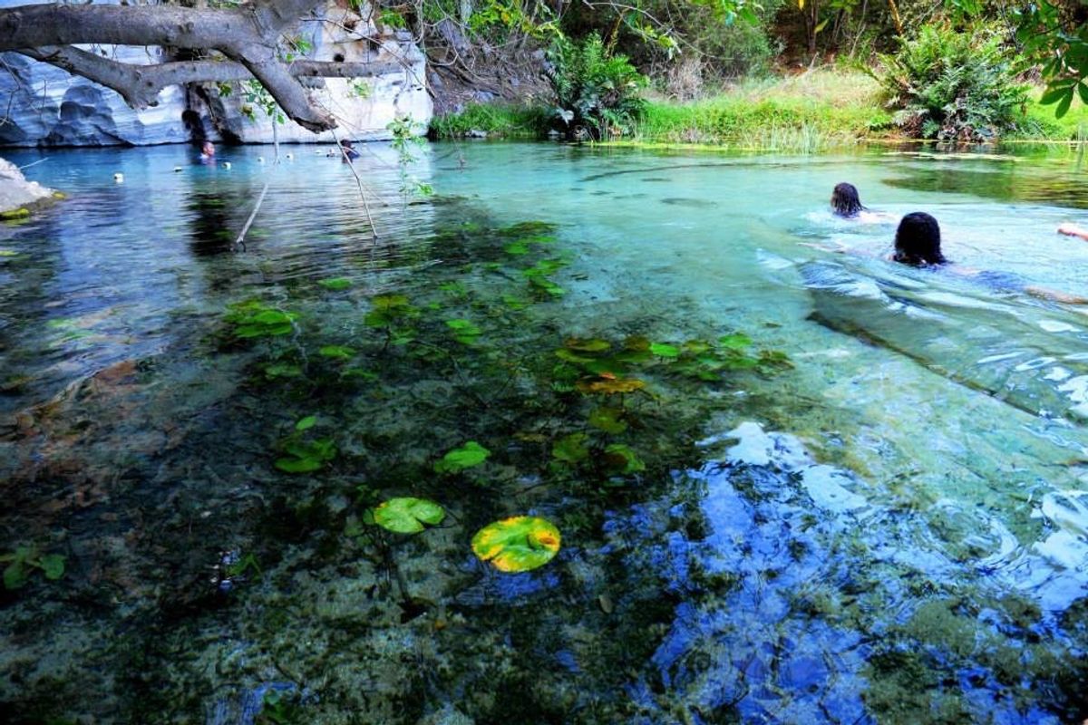 サルバドールからバスで7時間ほどいった場所にあるシャパーダジアマンチーナ国...