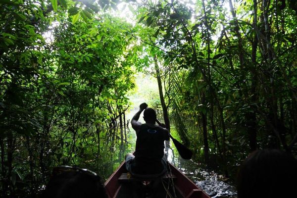 ブラジル・Natal「ブラジル旅」の写真：マナウスから車と舟で4時間ほどのアマゾン...