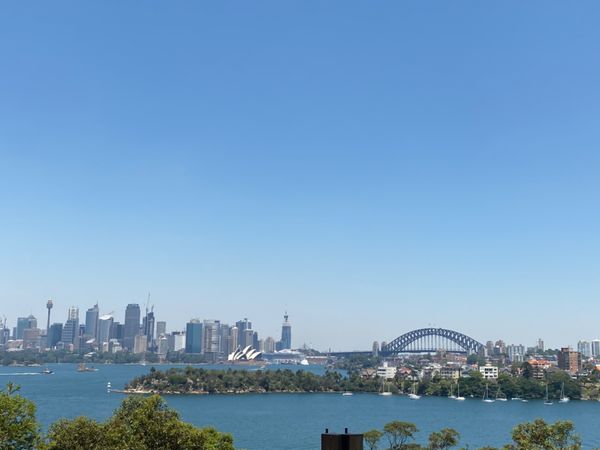 オーストラリア連邦・シドニー「動物達と戯れたシドニー」の写真：フリーバードショー

ここからは対岸のシ...