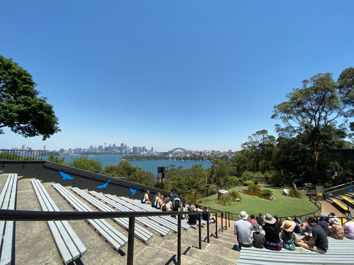 フリーバードショー

ここからは対岸のシドニーの街並みもよく見えてシドニー...