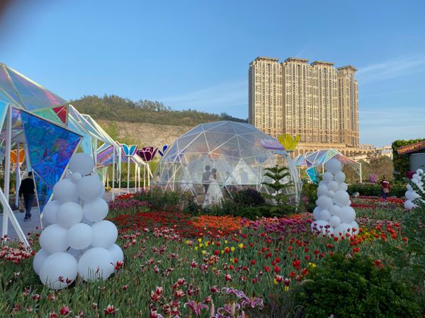 マカオ「初めての1人旅inマカオ🇲🇴」の写真：タイパ・ハウス・ミュージアムへ
クリスマ...