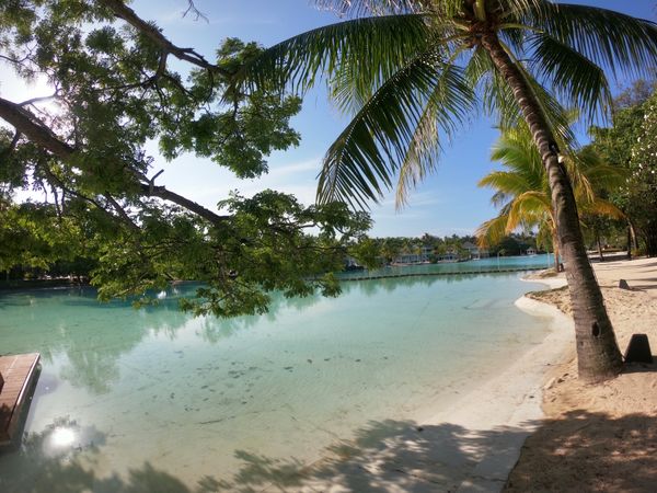 フィリピン・セブ島「セブ島」の写真