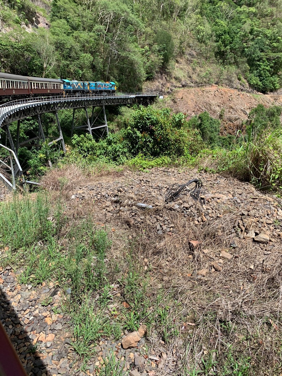 キュランダ鉄道からみえる景色。
世界の車窓からのオープニングの景色はここで...