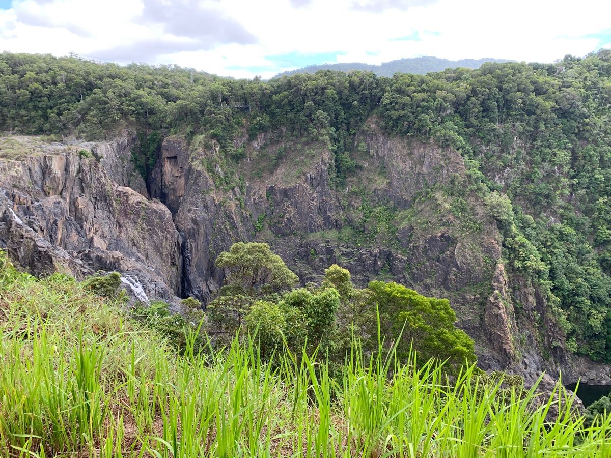 キュランダ鉄道からみえる景色。
世界の車窓からのオープニングの景色はここで...