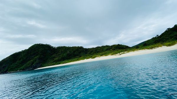 日本・ダイビング「沖縄 AOW🤿」の写真